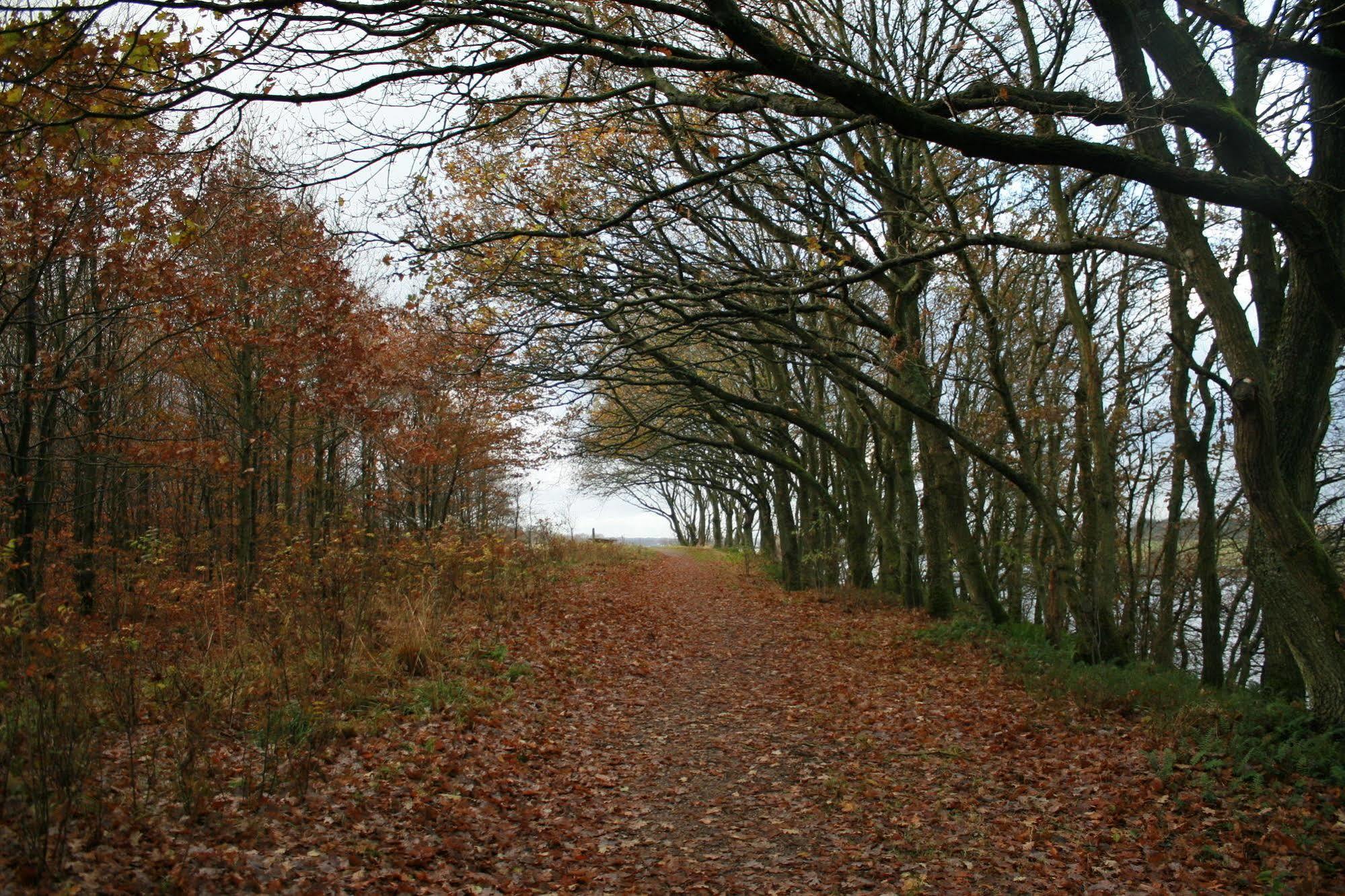Mejrup Bed And Breakfast Holstebro Bagian luar foto